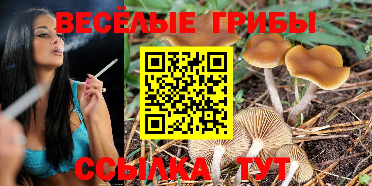 Добрянка  Галлюциногенные грибы Psilocybe  Галлюциногенные грибы MAGIC MUSHROOMS  купить наркоту  Вход с VPN 