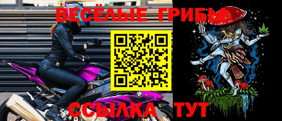 Псилоцибиновые грибы GOLDEN TEACHER Добрянка